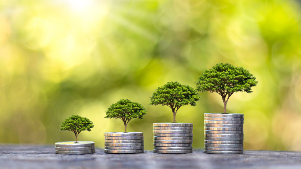 business growth