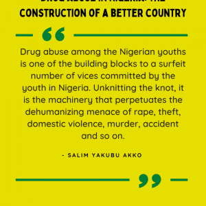 Drug Abuse in Nigeria: the Construction of a Better Country