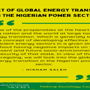 IMPACT OF GLOBAL ENERGY TRANSITION ON THE NIGERIAN POWER SECTOR