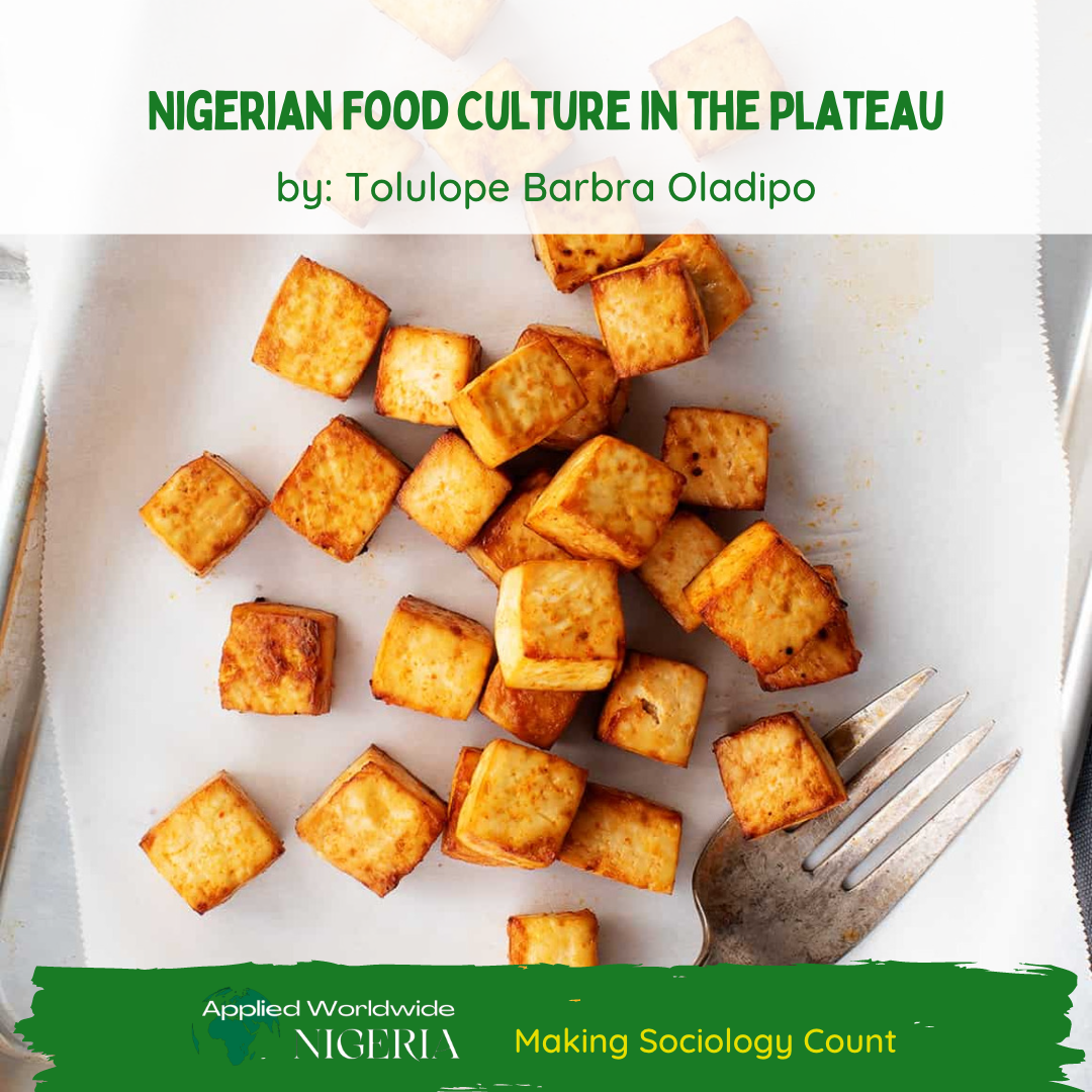 You are currently viewing Nigerian Food Culture in the Plateau