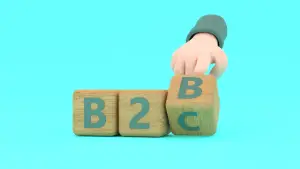 Read more about the article B2B and B2C; the Differences Between These e-Commerce Brands