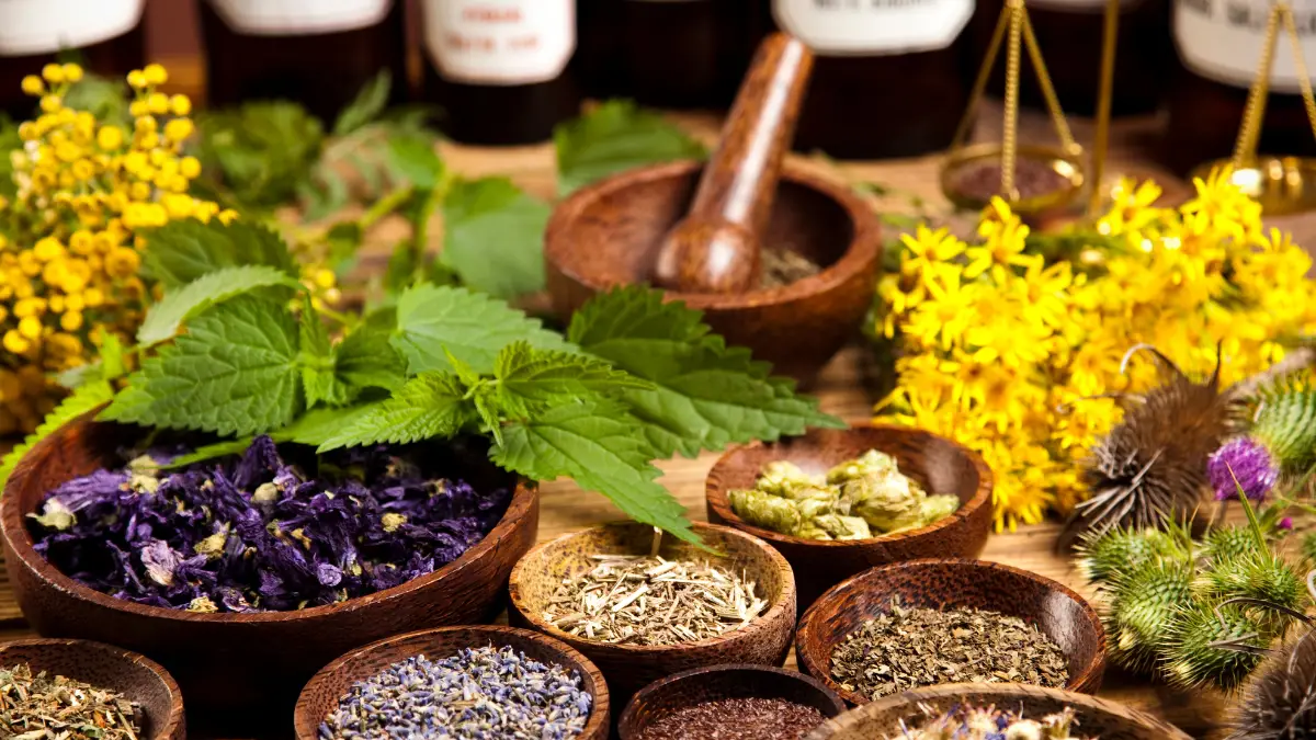 You are currently viewing A Closer Look at Scientific and Herbal Medicine in Nigeria