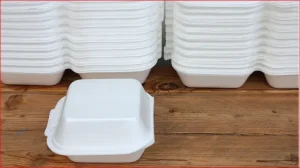 Read more about the article Ban of Styrofoam and its Implication on the Environment