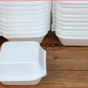 Ban of Styrofoam and its Implication on the Environment