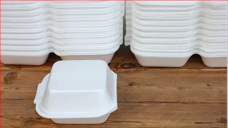 You are currently viewing Ban of Styrofoam and its Implication on the Environment