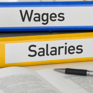 Salary and Wages in Nigeria: Innovative Solutions to Salary Woes