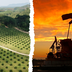 From Farms to Fields of Oil: Nigeria’s Shift from Agriculture to Petroleum