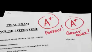 Read more about the article Ten Tips for Good Grades in Nigerian Public Universities 