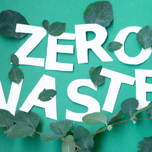 How Poverty Leads to a Zero-Waste Society: Impacts on Humans and Livestock 