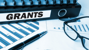 Read more about the article Top 10 Government Grants for Nigerian Entrepreneurs (Latest 2025 Update)