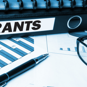 Top 10 Government Grants for Nigerian Entrepreneurs (Latest 2025 Update)