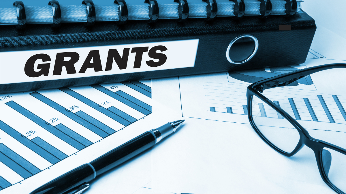 You are currently viewing Top 10 Government Grants for Nigerian Entrepreneurs (Latest 2025 Update)