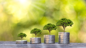 Read more about the article The Place of Technology in Business Growth: A Proactive Tool, Not a Final Resort