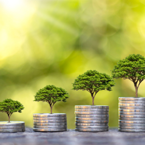 The Place of Technology in Business Growth: A Proactive Tool, Not a Final Resort